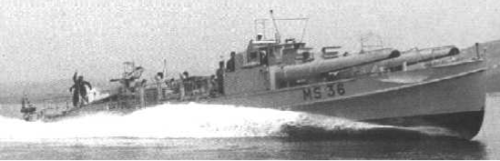 Торпедный катер «MS-36»
