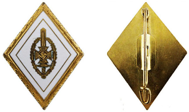 Аверс и реверс золотого наградного знака NSKOV уровня округа. 