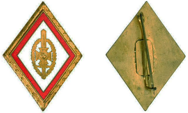 Аверс и реверс наградного золотого знака NSKOV уровня гау. 