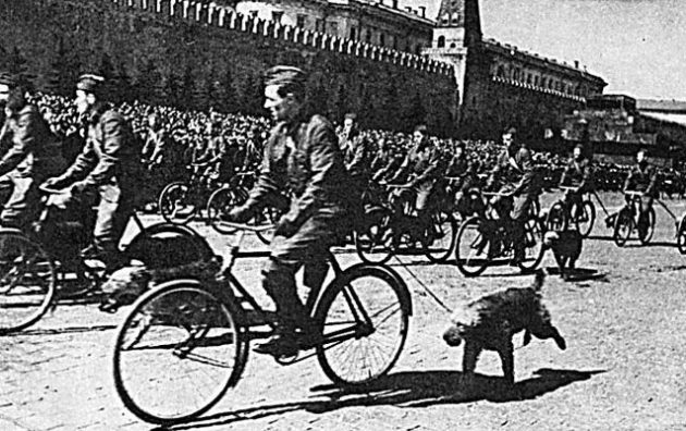 Собаководы РККА на велосипедах. Парад 1 мая 1938 г.