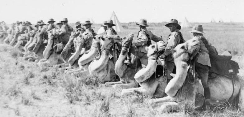 Австралийская верблюжья кавалерия. Палестина, 1918 г.