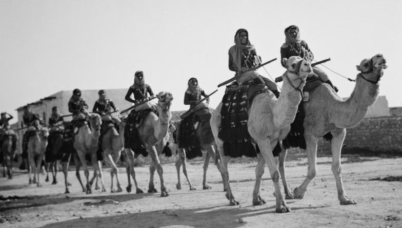 Британские солдаты-арабы на верблюдах. Беэр-Шева, 1940 г.