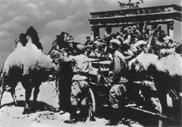 Верблюды в Берлине. Май 1945 г.