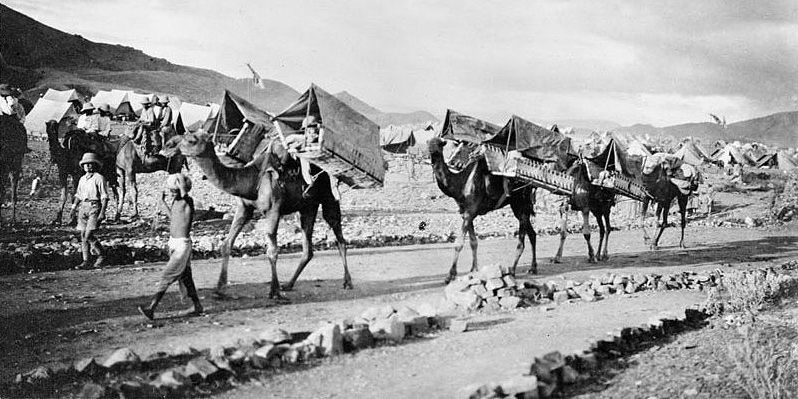 Эвакуация британских раненых солдат на верблюдах на Северо-Западе Индии. 1917 г.