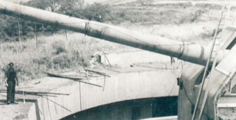 Береговые орудия 30,5-cm K.14(r)