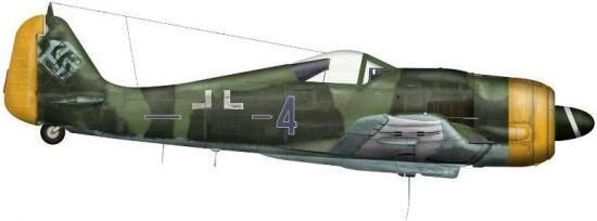 Bradic Srecko. Истребитель Focke-Wulf F-8 R1.