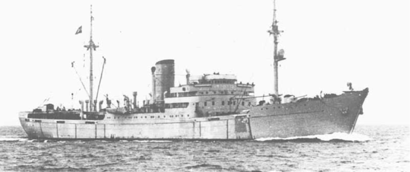 Вспомогательный крейсер «Stier» (HSK-6)