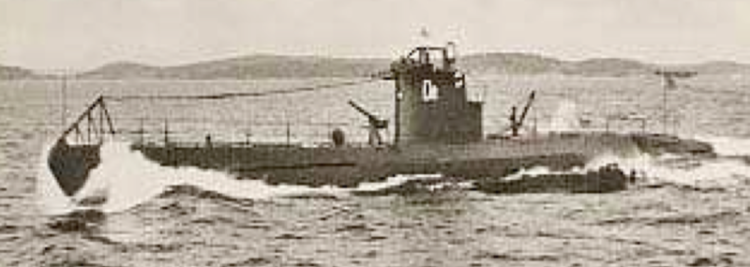 Подводная лодка «Delfinen»