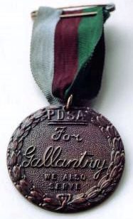 Медаль Марии Дикин