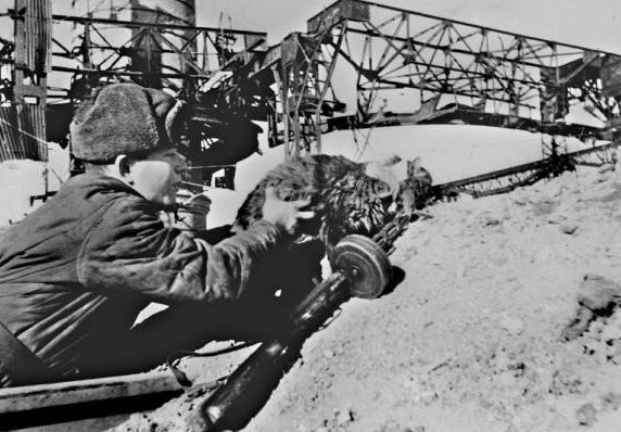 Боец засылает кота с листовкой к солдатам и офицерам окруженной немецкой группировки под Сталинградом. Январь 1943 г. Возможно и шутка военного корреспондента, но так было подписано в газете.