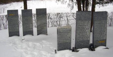м. Ныо, Ныоская волость. Братские могилы советских воинов, погибших в годы войны