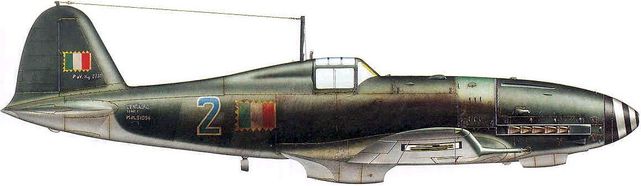 Dhorne Vincent. Истребитель Fiat G.55 Serie I .