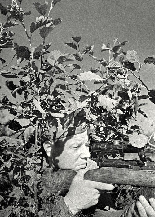 Снайпер Марковиченко Михаил Семёнович одержал 209 побед. Северо-Западный фронт, 1942 г.