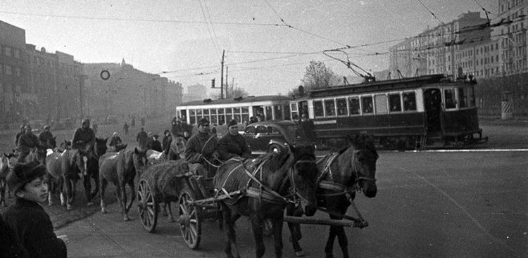 Ленинградское шоссе. 16 октября 1941 г.