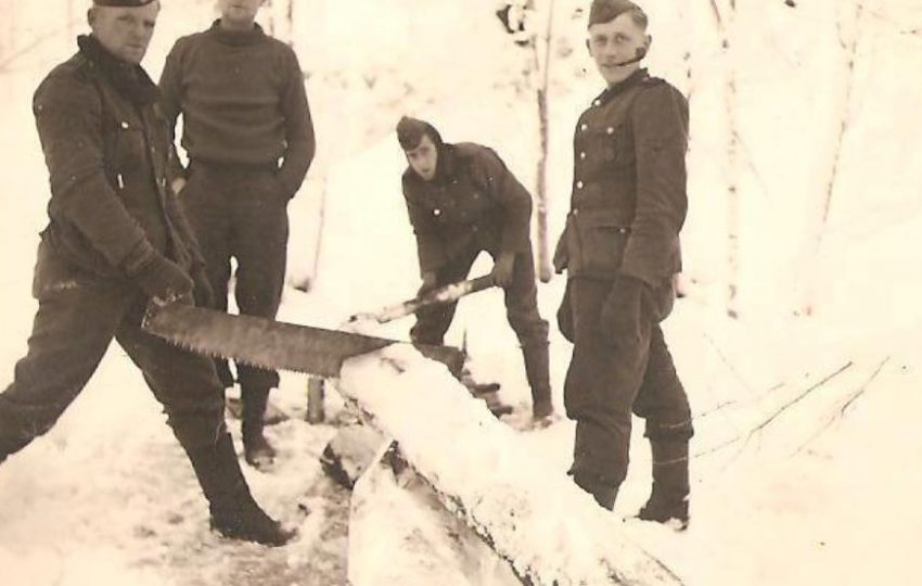 «Добыча» дров. 1941 г.