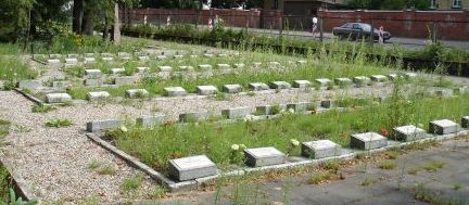 Южный участок воинских братских могил.