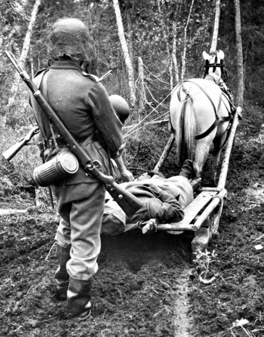 Эвакуация раненного. Белоруссия. 1943 г.