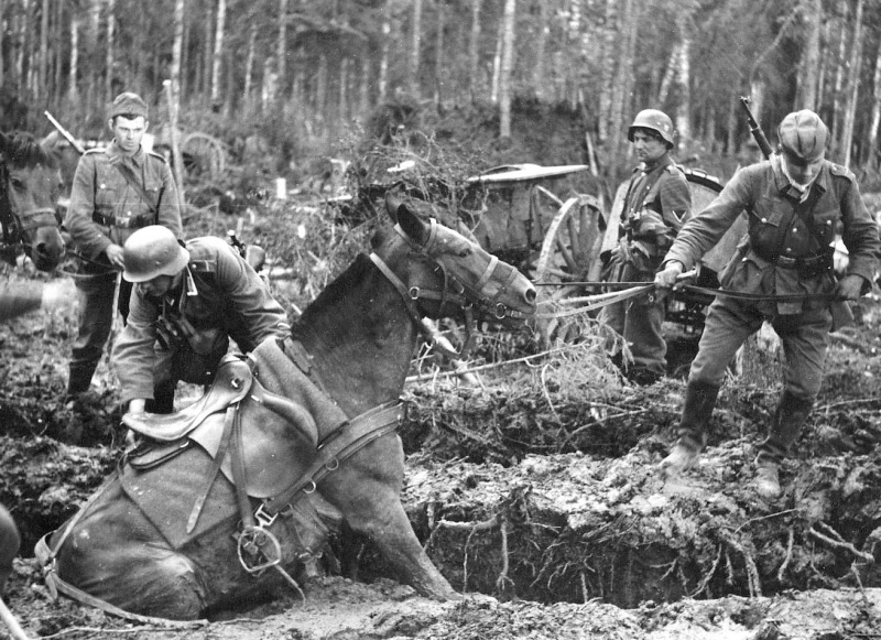 Немецкие солдаты в болоте у деревни Мясной Бор Новгородской обл. 1942 г.