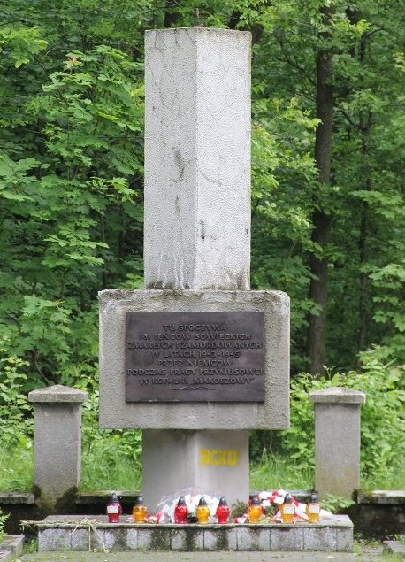 г. Забже. Памятник в парке им. Шленских повстанцев по улице Спортивная, установлен на воинском кладбище, где похоронено 161 советский воин.