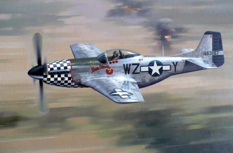 Legg Darryl. Истребитель P-51D Mustang.