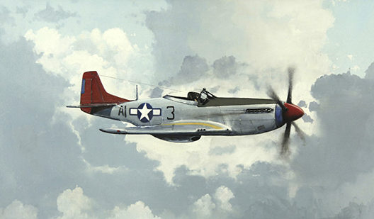 Dillon Andrew. Истребитель P-51 «Mustang».