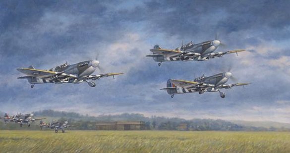 Wong Ronald. Истребители Spitfire Mk IX.