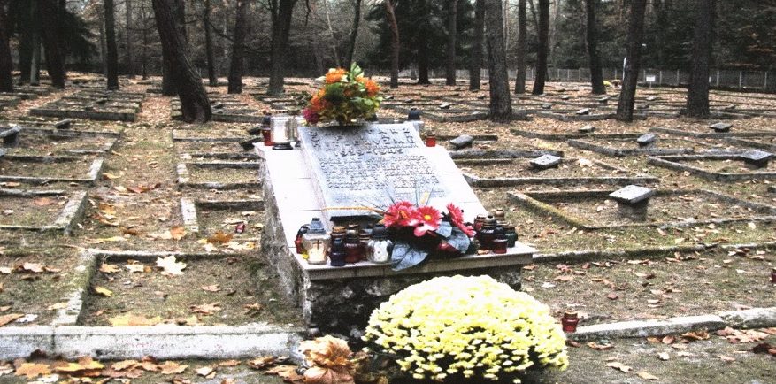 д. Ягелла, повят Пшеворск. Воинское кладбище, где похоронено 5 174 советских воинов, в т.ч. 5 146 неизвестных, погибших в годы войны. 