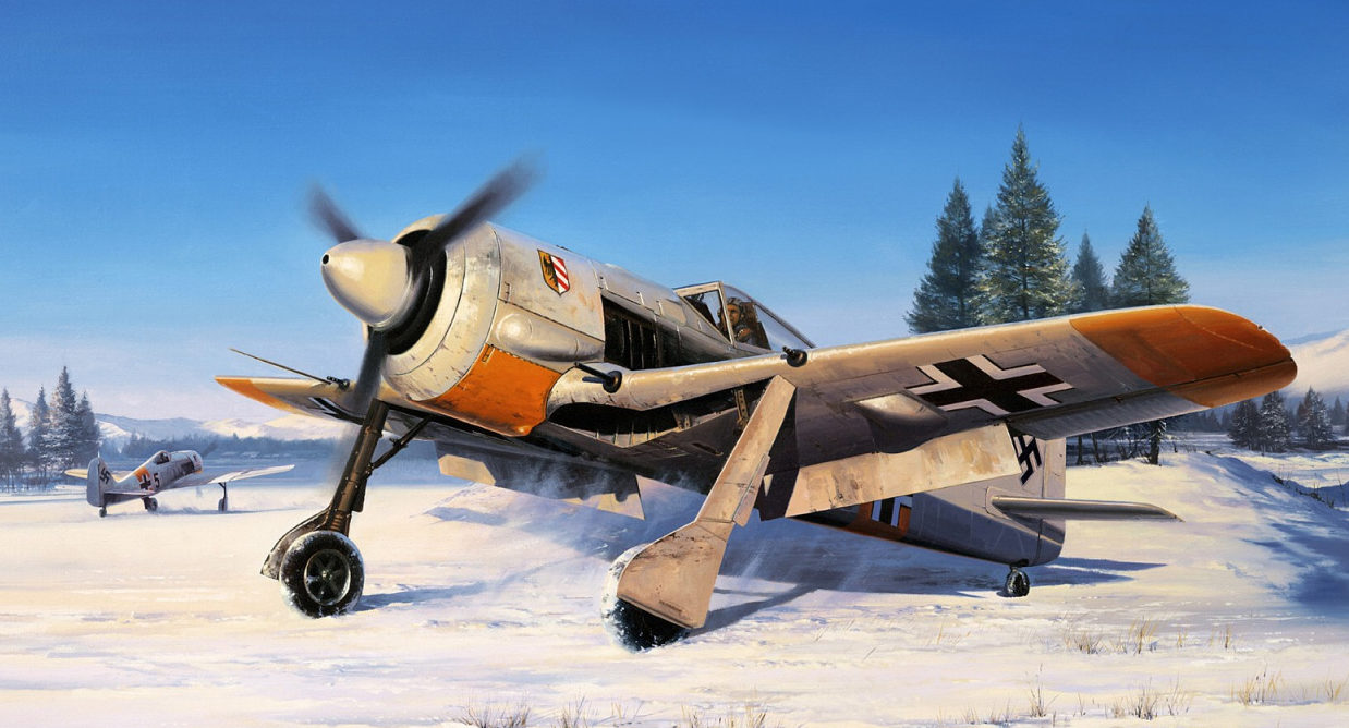 Trudgian Nicolas. Истребители Fw-190.