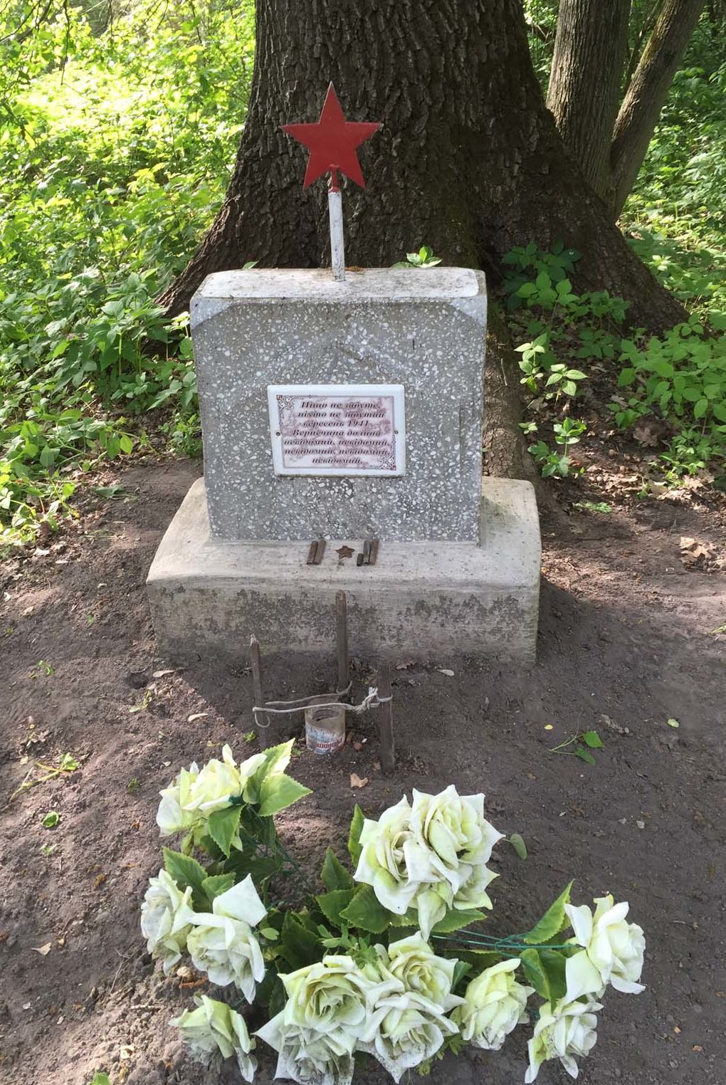Барышевский р-н. Братская могила советских воинов в лесном массиве между селами Корнеевка и Красноармейское. 