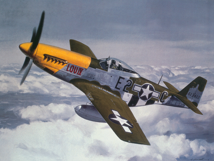 Grinell Roy. Истребитель P-51 Mustang.