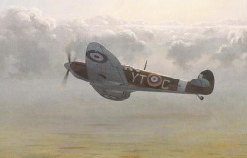 Woodcock Keith. Истребитель Supermarine Spitfire Mk.1.