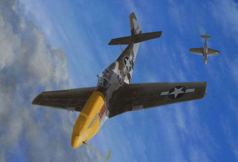 Copic Harley. Истребители P-51D.