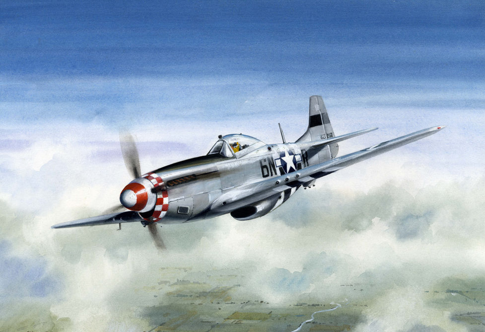 Robertshaw Bill. Истребитель P-51 Mustang.