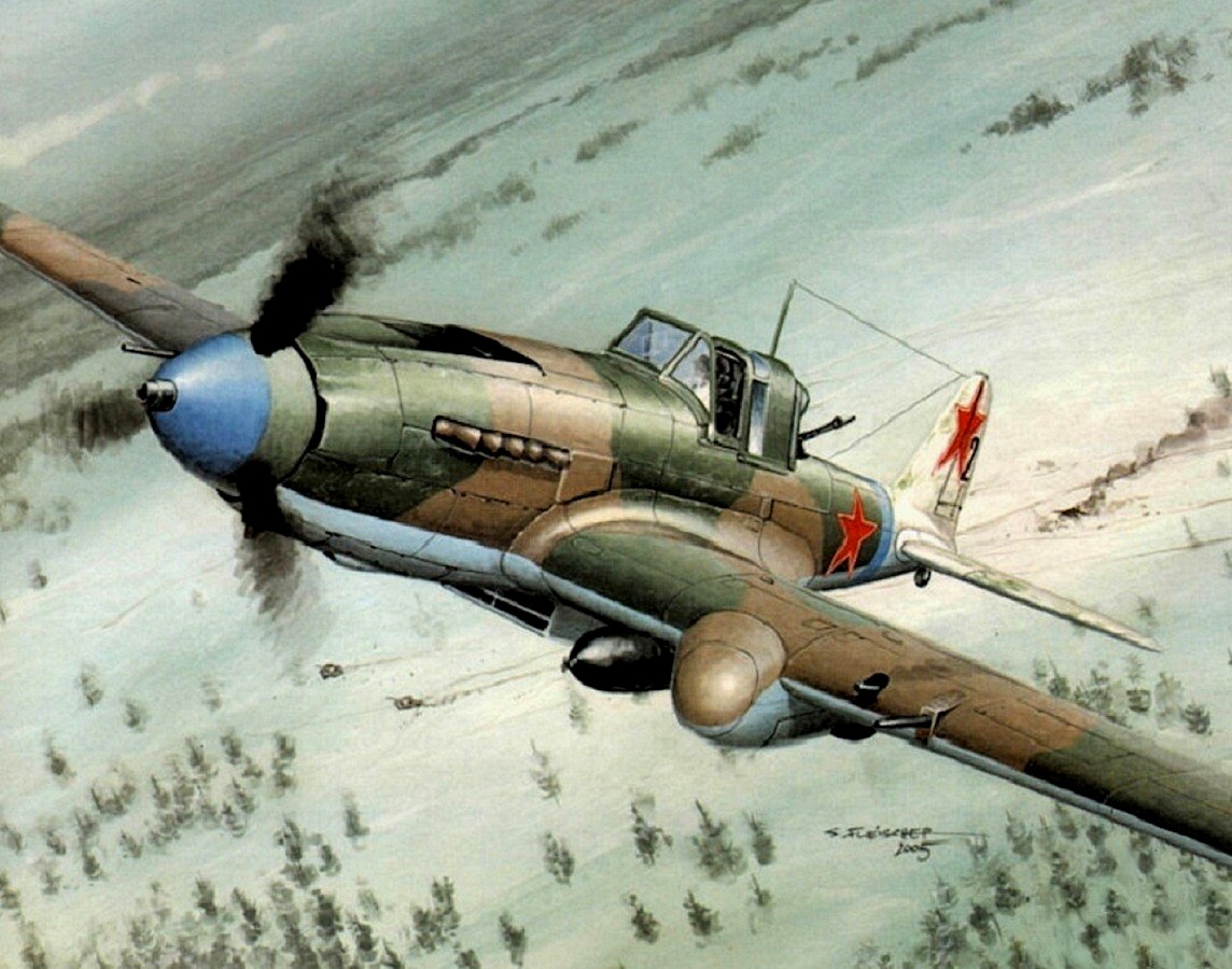 Fleischer Seweryn. Штурмовик Ил-2.