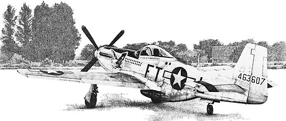 Crace Max. Истребитель P-51D Mustang.