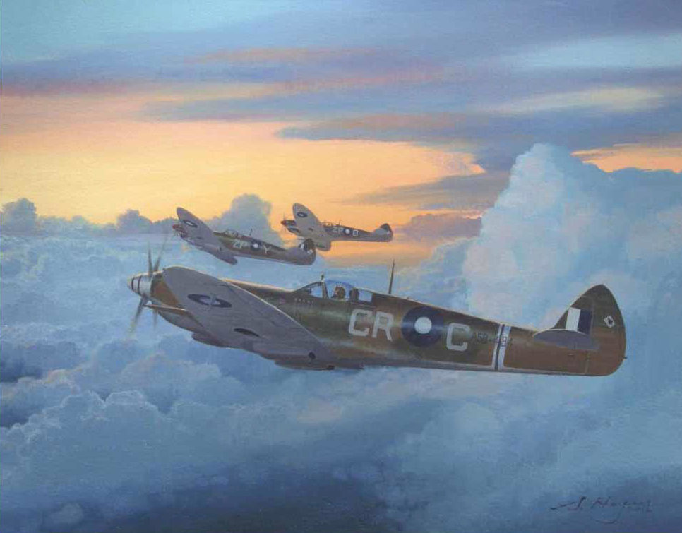 Heyen Steven. Истребитель Spitfire Mk.8.