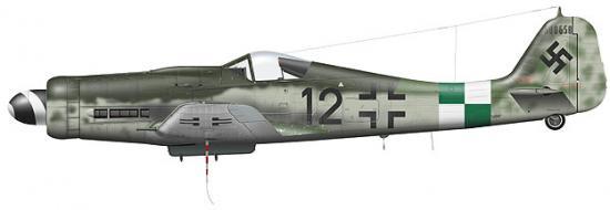 Tullis Tom. Истребитель Fw-190 D-9.