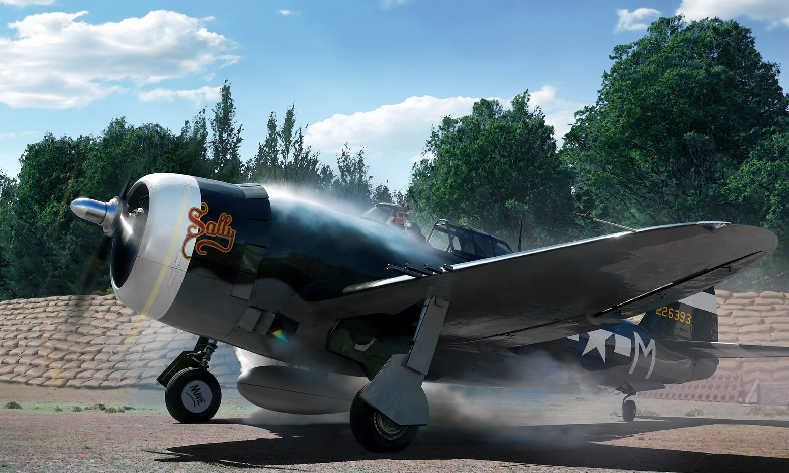Cole Ron. Истребитель P-47D.