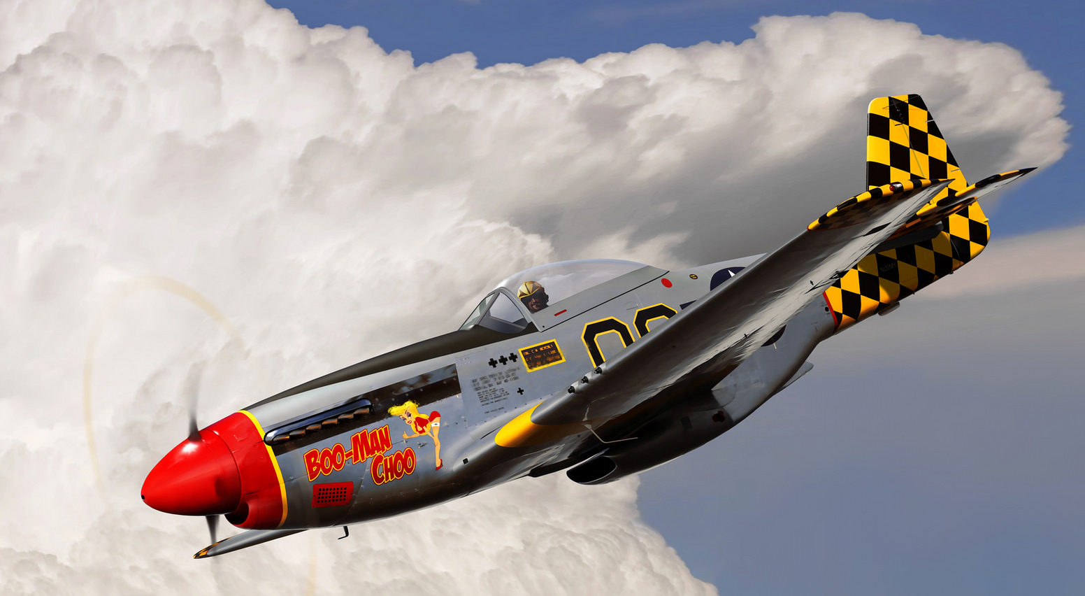 Cole Ron. Истребитель P-51D Mustang.