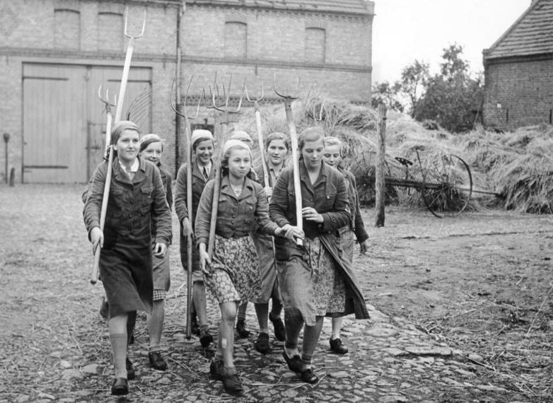 Девушки из BDM выходят на сенокос. 18.09.1939 г.