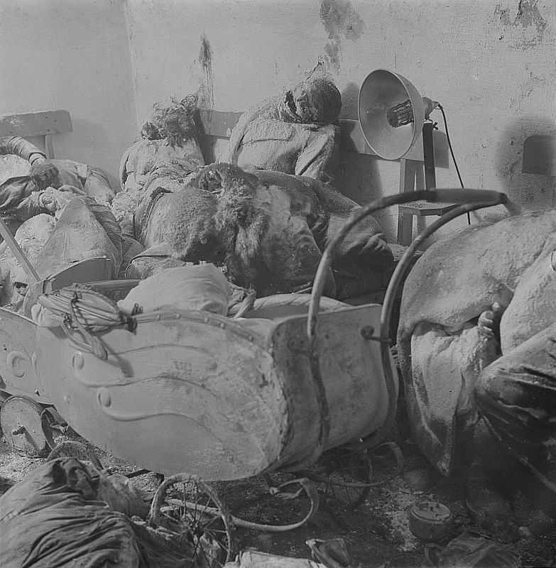 Труп матери над коляской с близнецами, обнаруженные в подвале 1 января 1946 г.