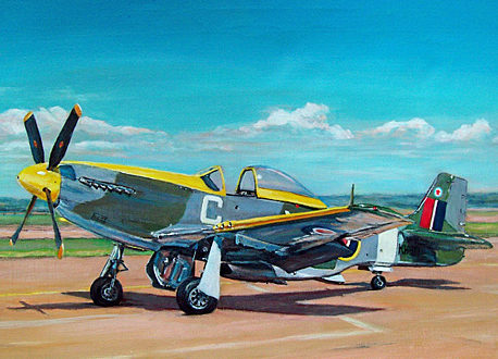 Boyd Len. Истребитель Mustang Mk.IV. 