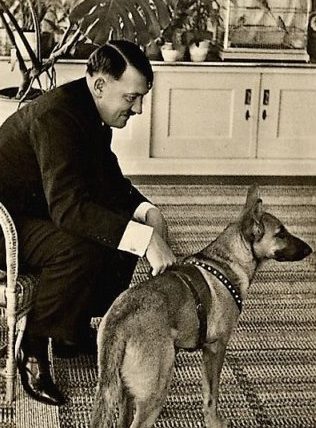 Адольф Гитлер с собакой. 1937 г.