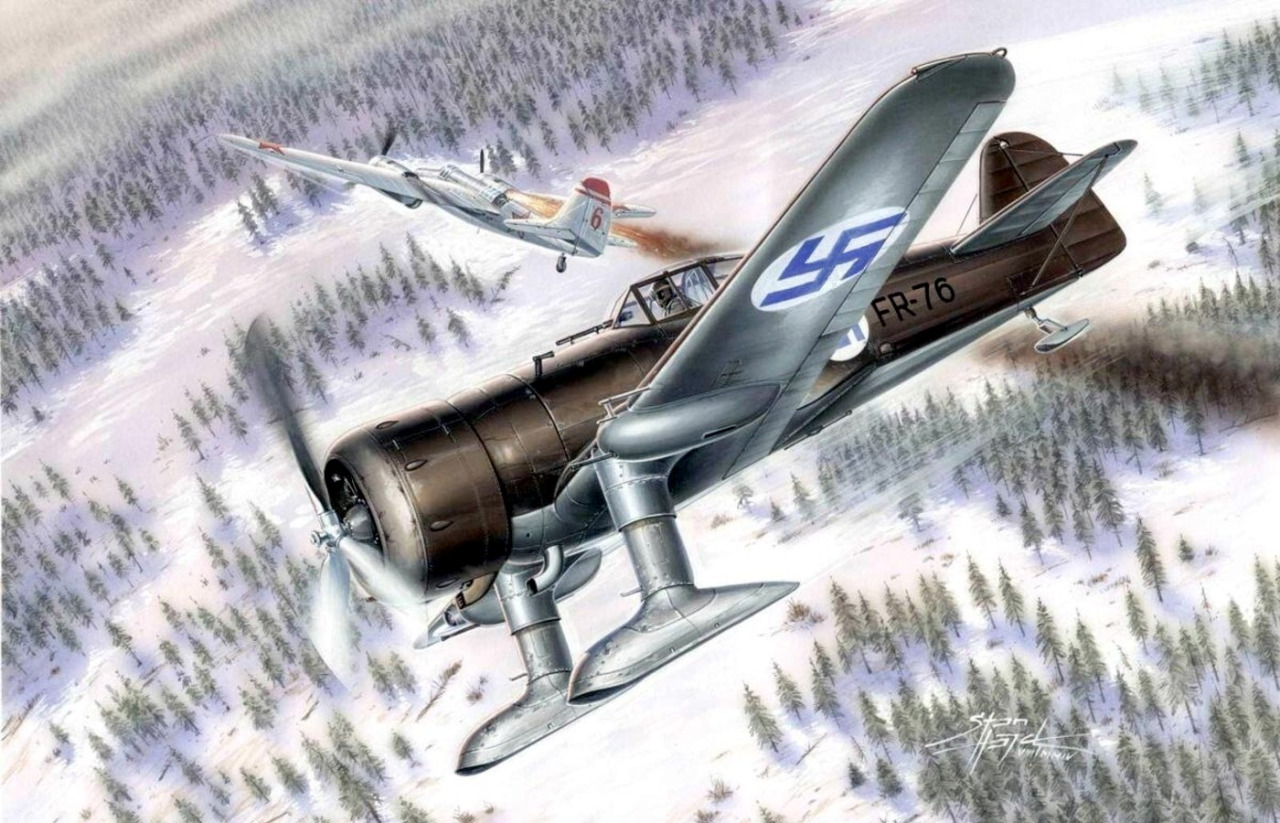 Hajek Stanislav. Истребитель Fokker D.XXI.