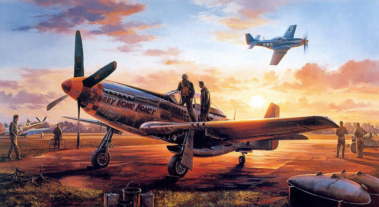 Satake Masao. Истребитель P-51D.