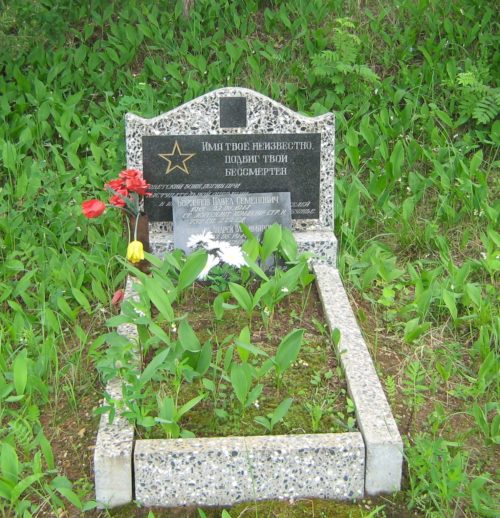 д. Перелоги Дрибинского р-на. Памятник установлен на братской могиле, в которой похоронено 3 советских воина, погибших в годы войны.