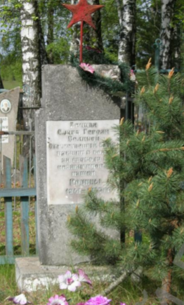 д. Высокое Чаусского р-на. Братская могила на сельском кладбище, в которой похоронено 9 воинов.
