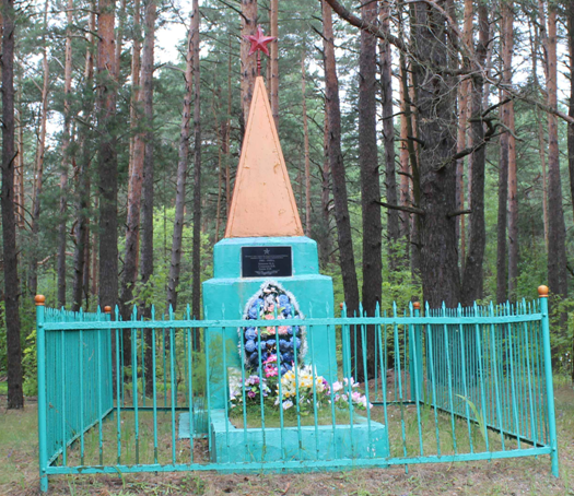 д. Ушаки Чериковского р-на. Памятник на братской могиле, в которой похоронено 12 советских воинов, в т.ч. 5 неизвестных, погибших в 1943 году. 
