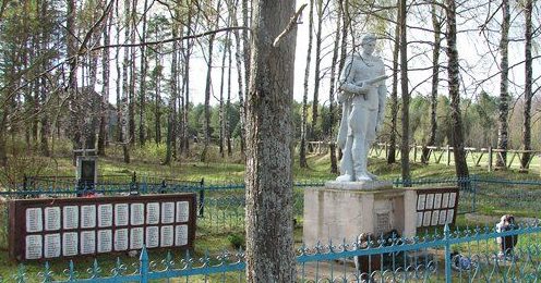 д. Долгий Мох Чаусского р-на. Братская могила на сельском кладбище, в которой похоронено 367 воинов. 