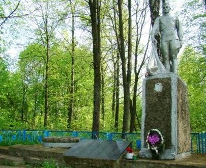 д. Желивье Чаусского р-на. Братская могила, в которой похоронено 240 воинов.